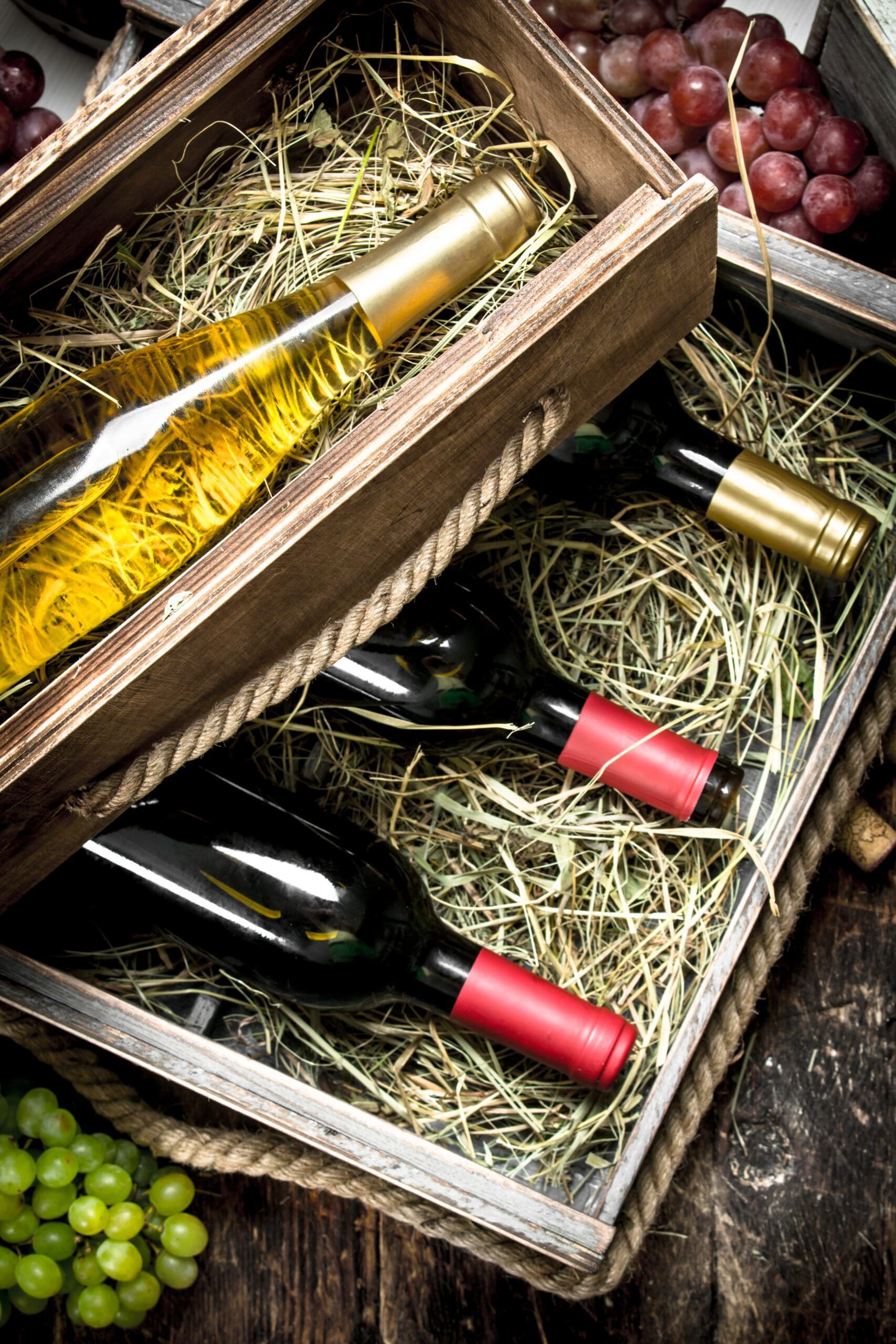 Bulgarian Wine Tasting Collection - 8 bottles mixed case (Red, White, Rosé)